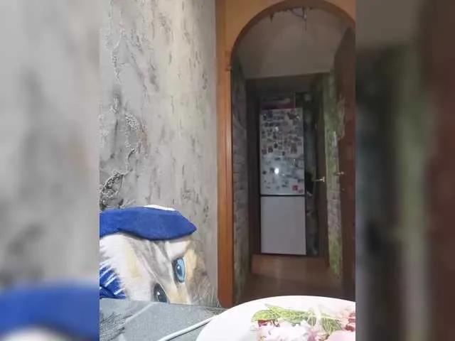 Avatar of catsloveqq