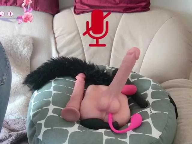 Avatar of LISACAM2CAM