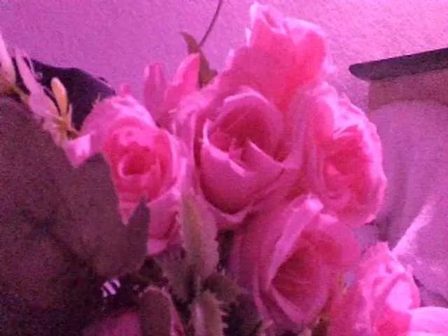 luvu4everxxx on BongaCams 