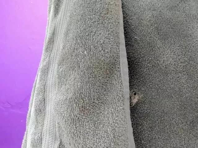 Offline srsexy on BongaCams