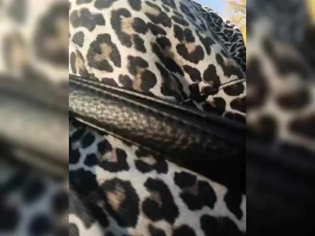 Freechat Sweetie29a on BongaCams