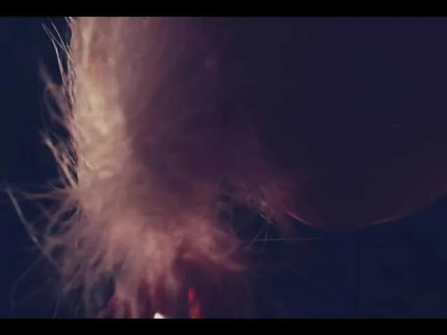 Offline Taanni on BongaCams