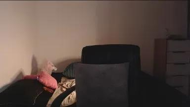 ANALGEISHA on Cam4 
