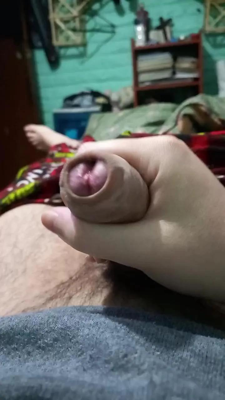 Avatar of andressk018