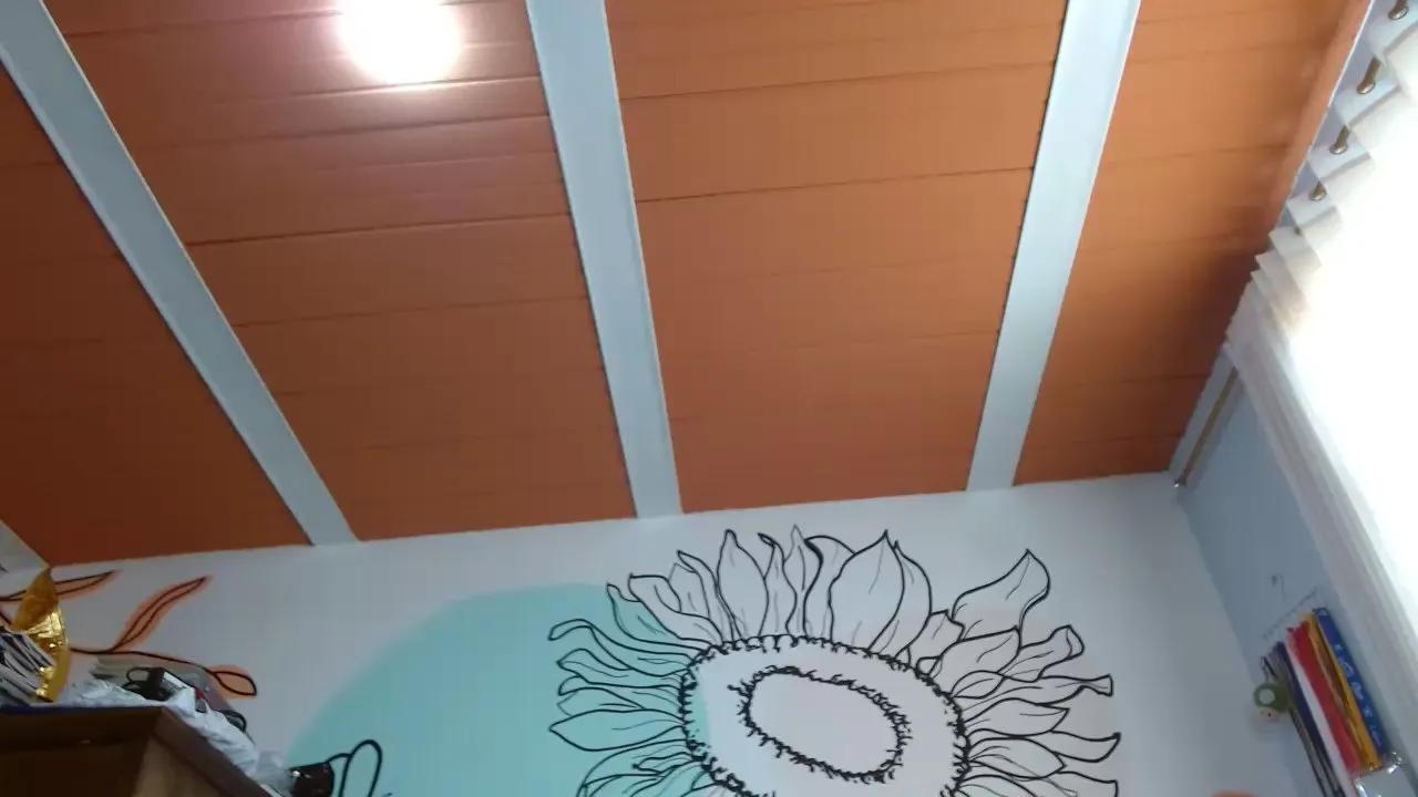 Offline arianny_sexy on Cam4