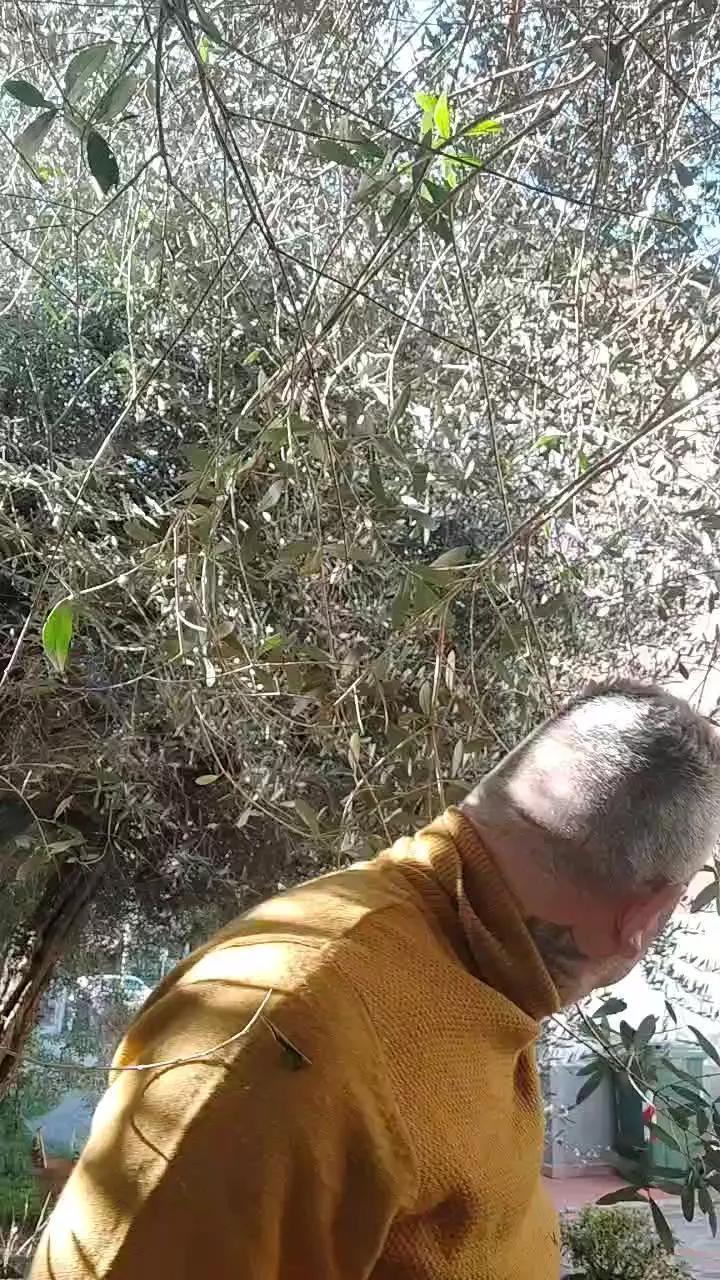 Batacchio70hot on Cam4 