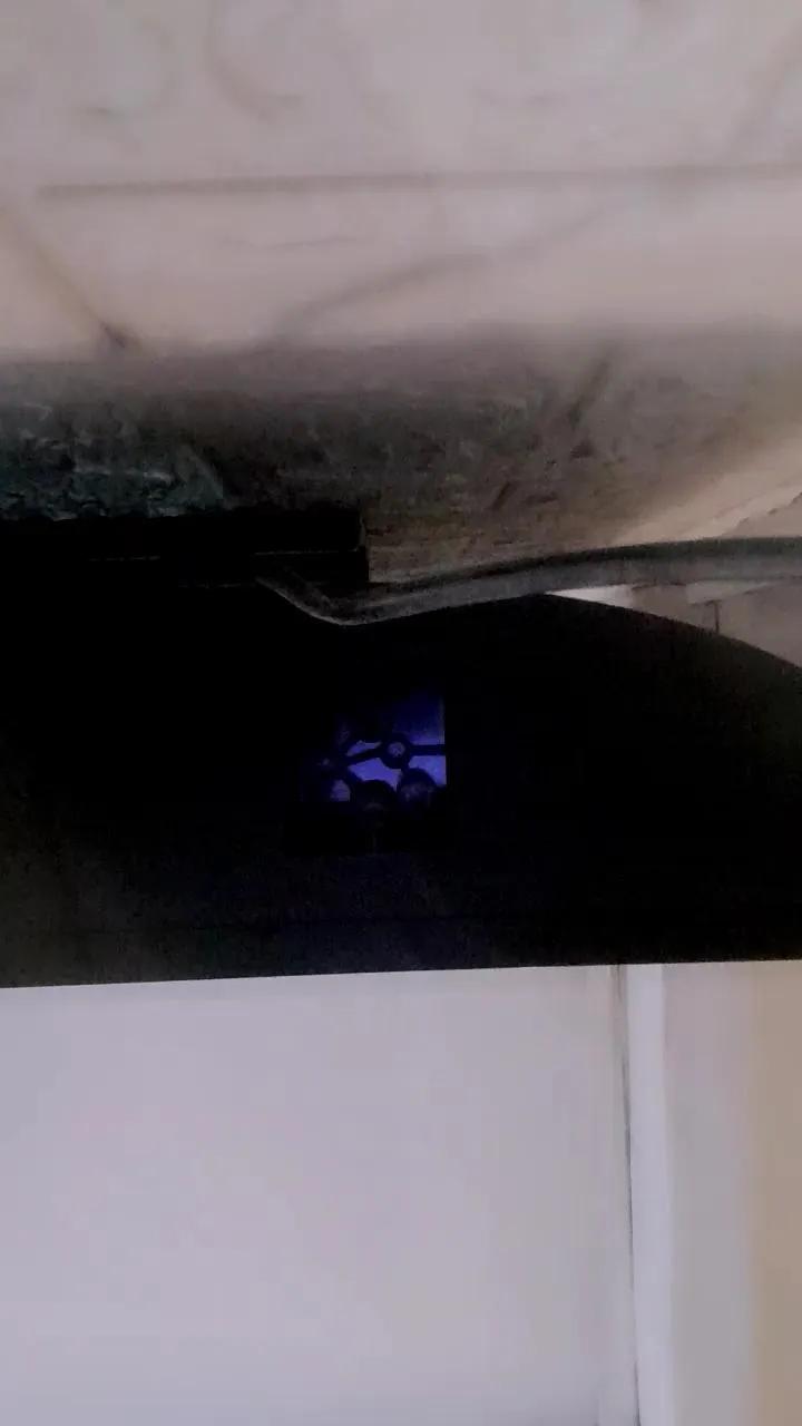 Offline Charlott31 on Cam4