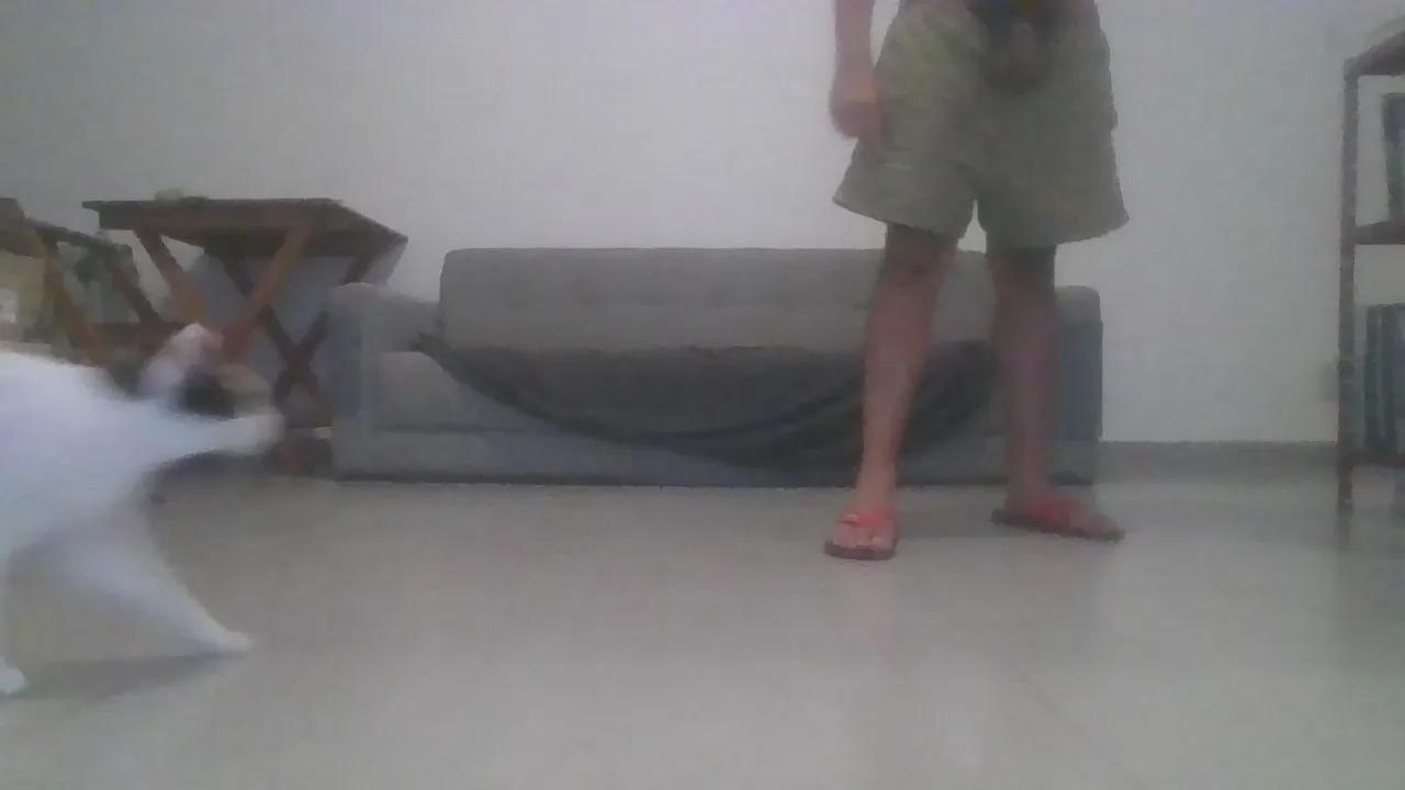 Offline couplecarioca on Cam4