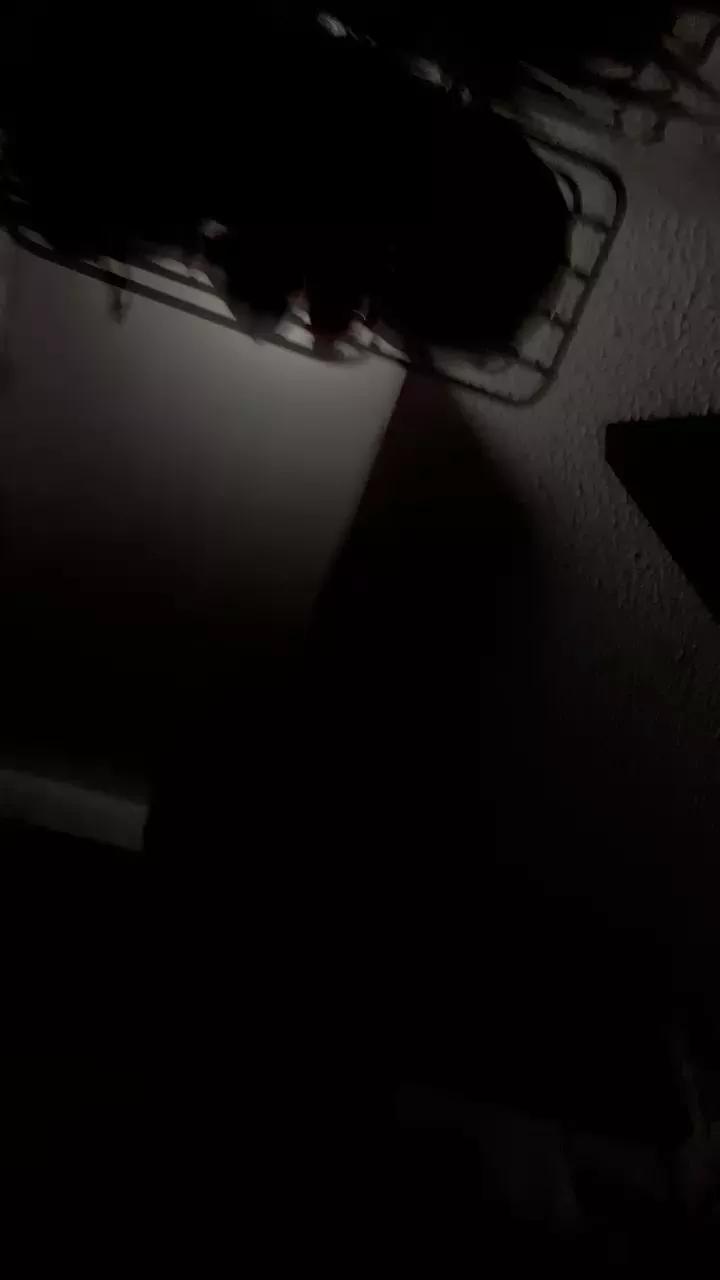 Offline Dandolatoda on Cam4