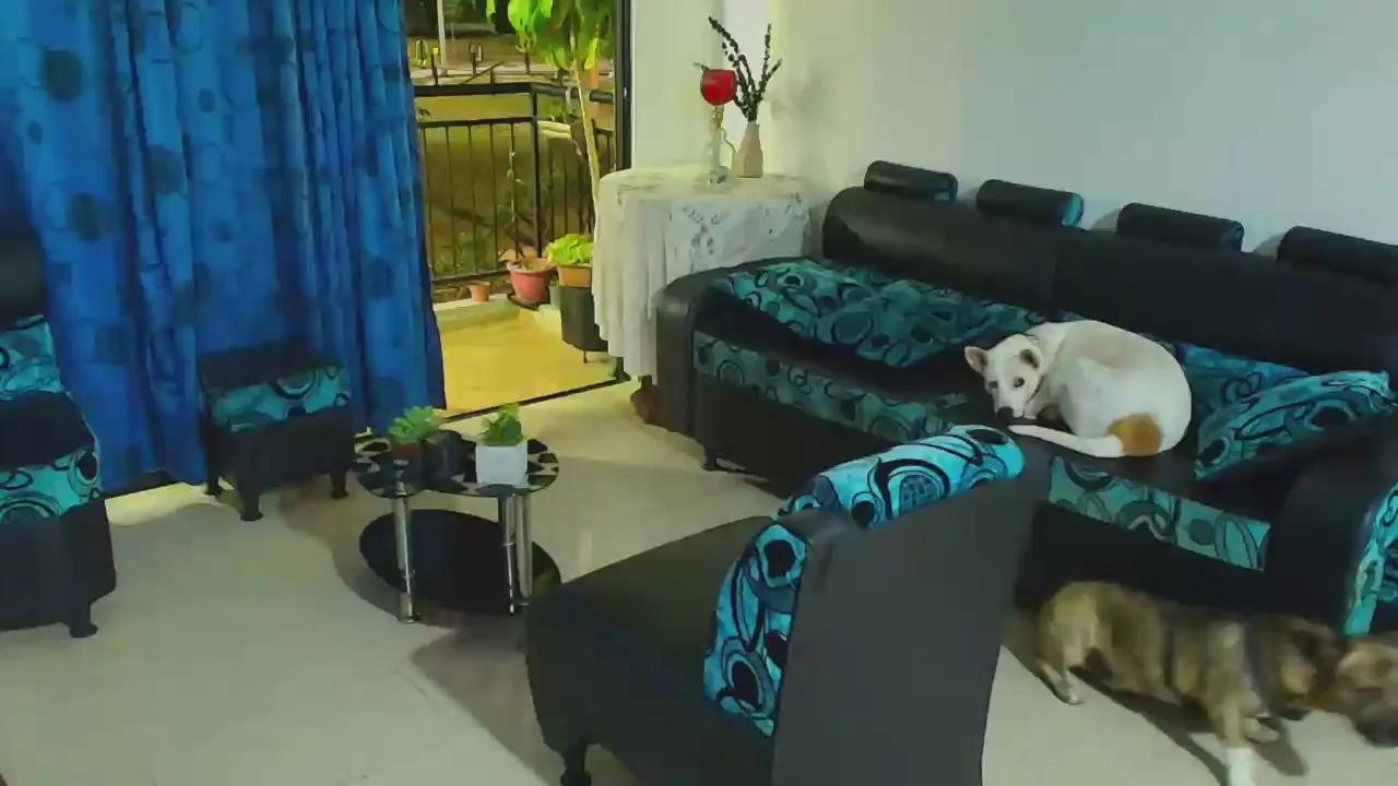 Offline DaveSoldier on Cam4