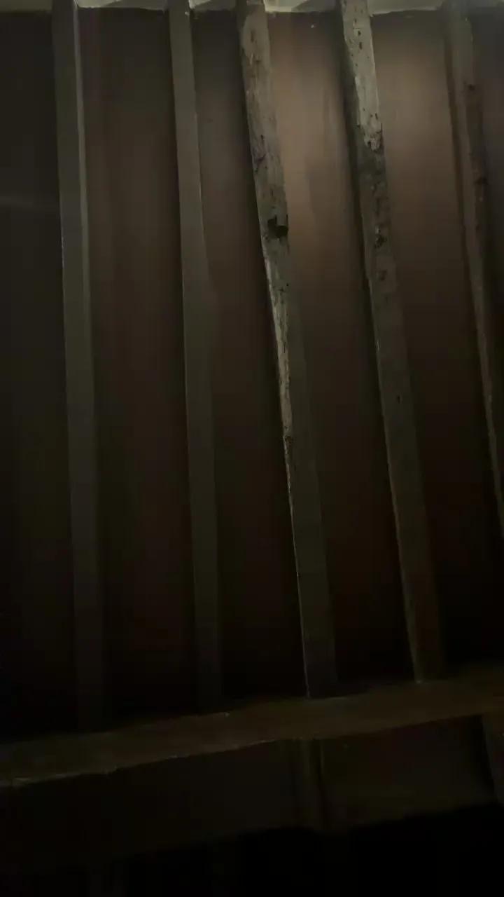 HarleyQuinn22 — Freechat on Cam4