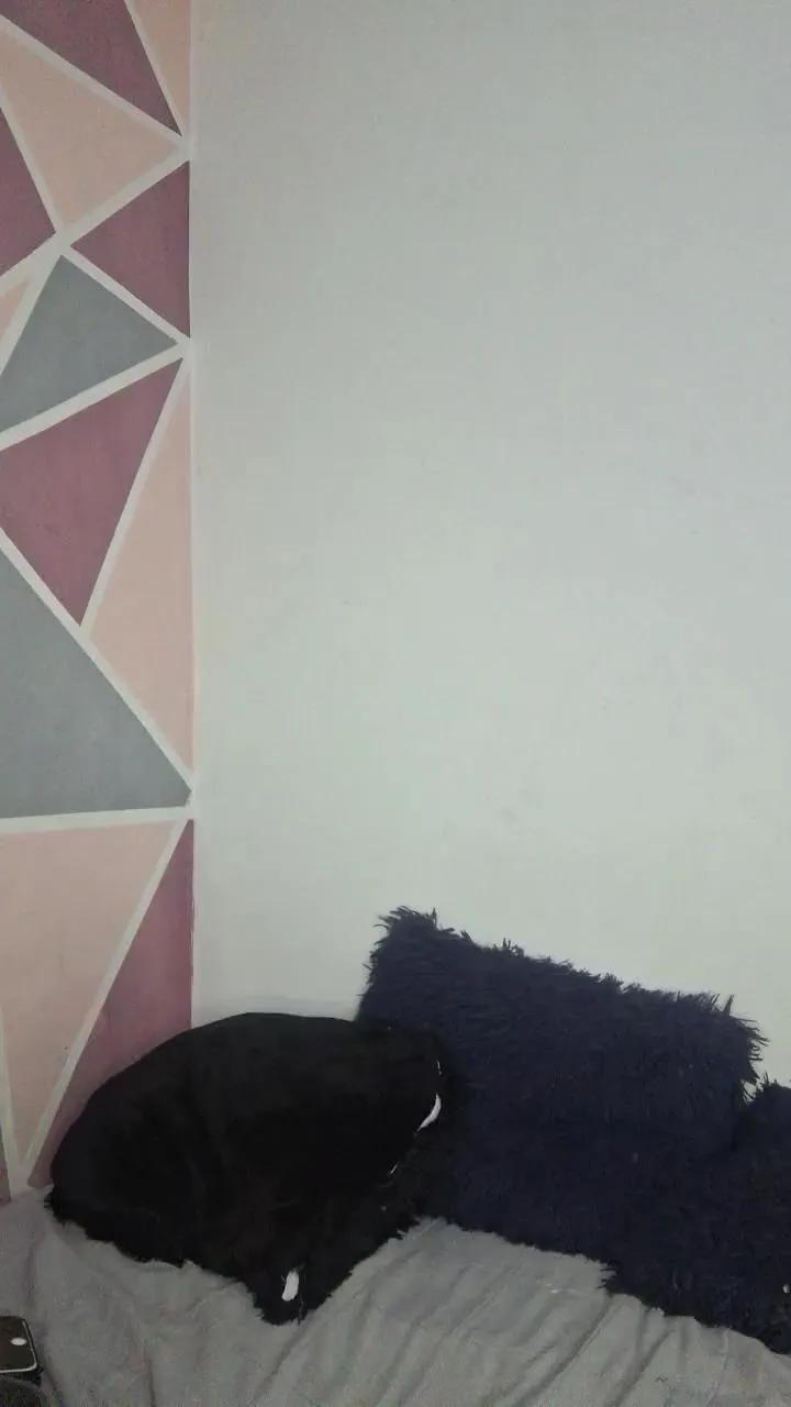 Cam4 Megan222_  is Freechat  Megan222_ — Freechat on Cam4