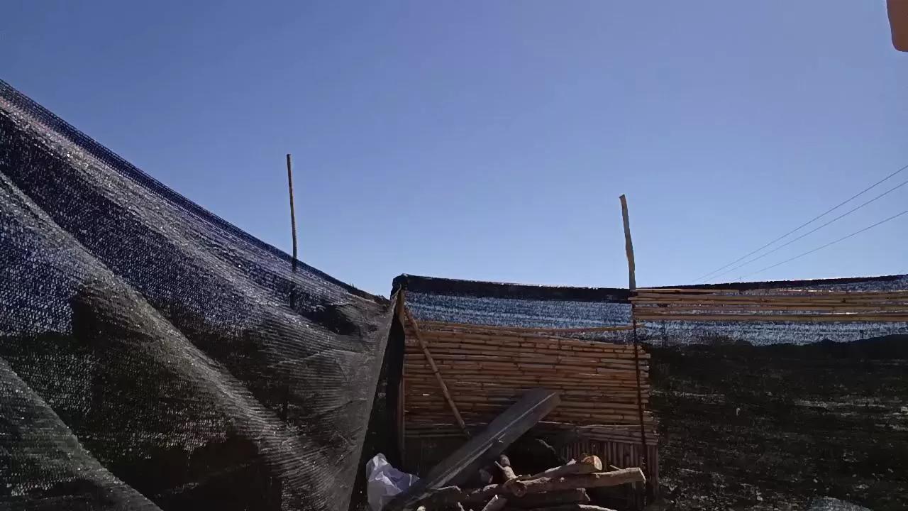 Offline Miss_fantasy_ on Cam4