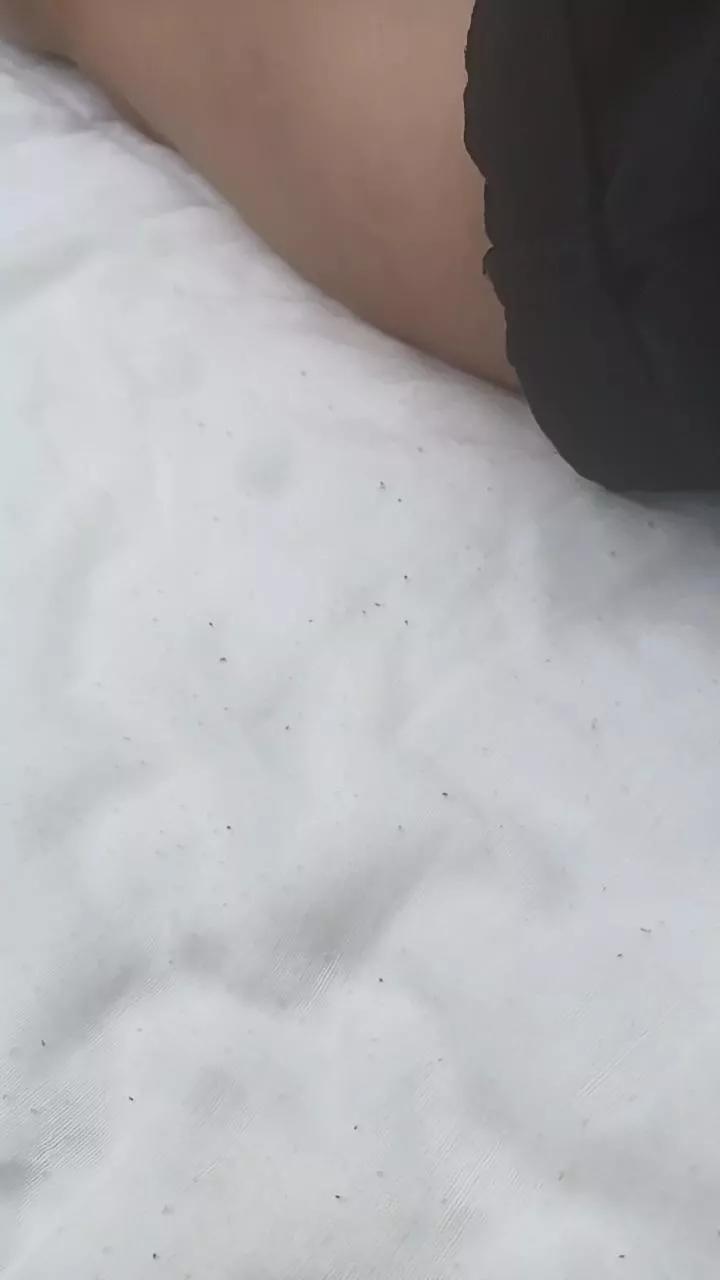 Avatar of Petitebombe34