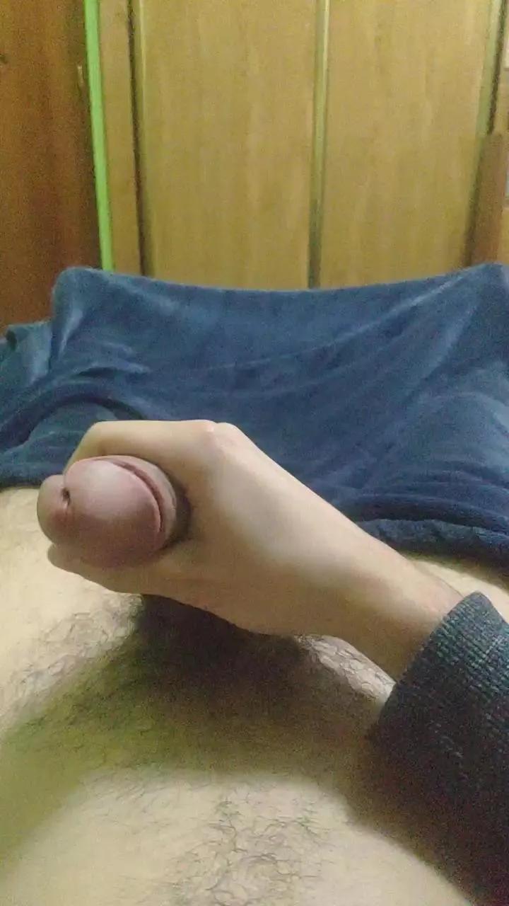 polli_play