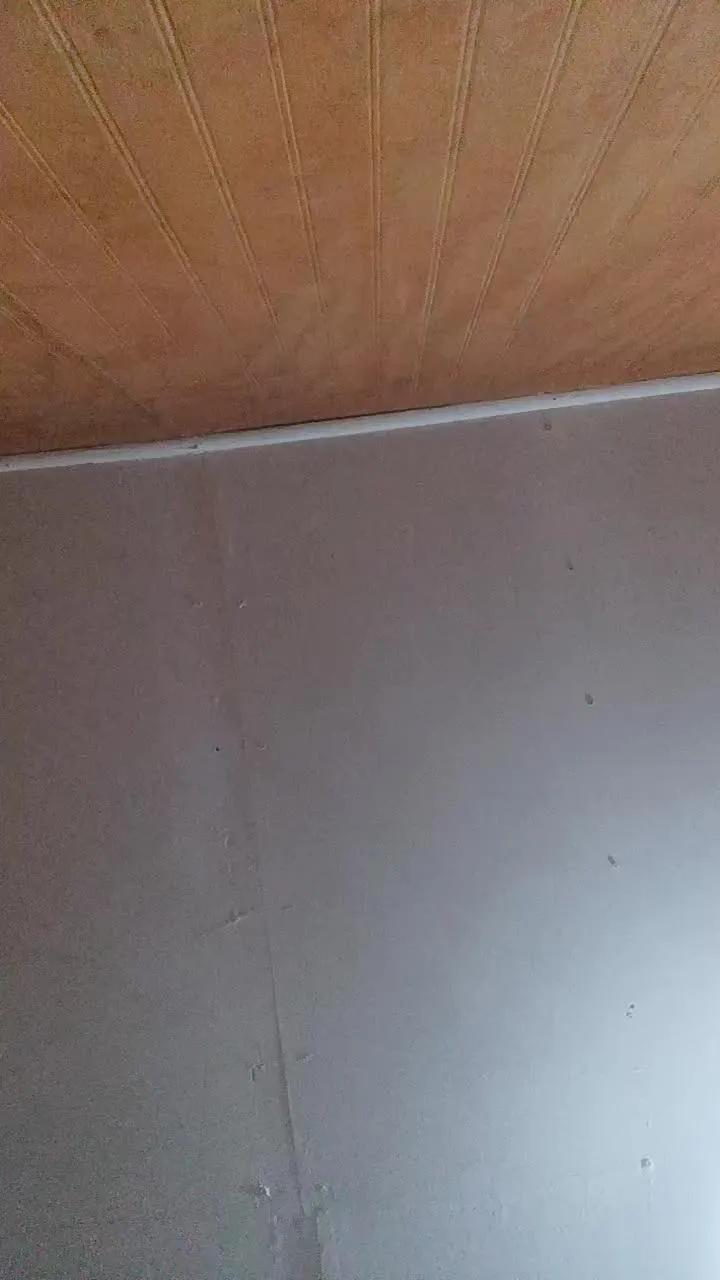 Offline Primeros40 on Cam4