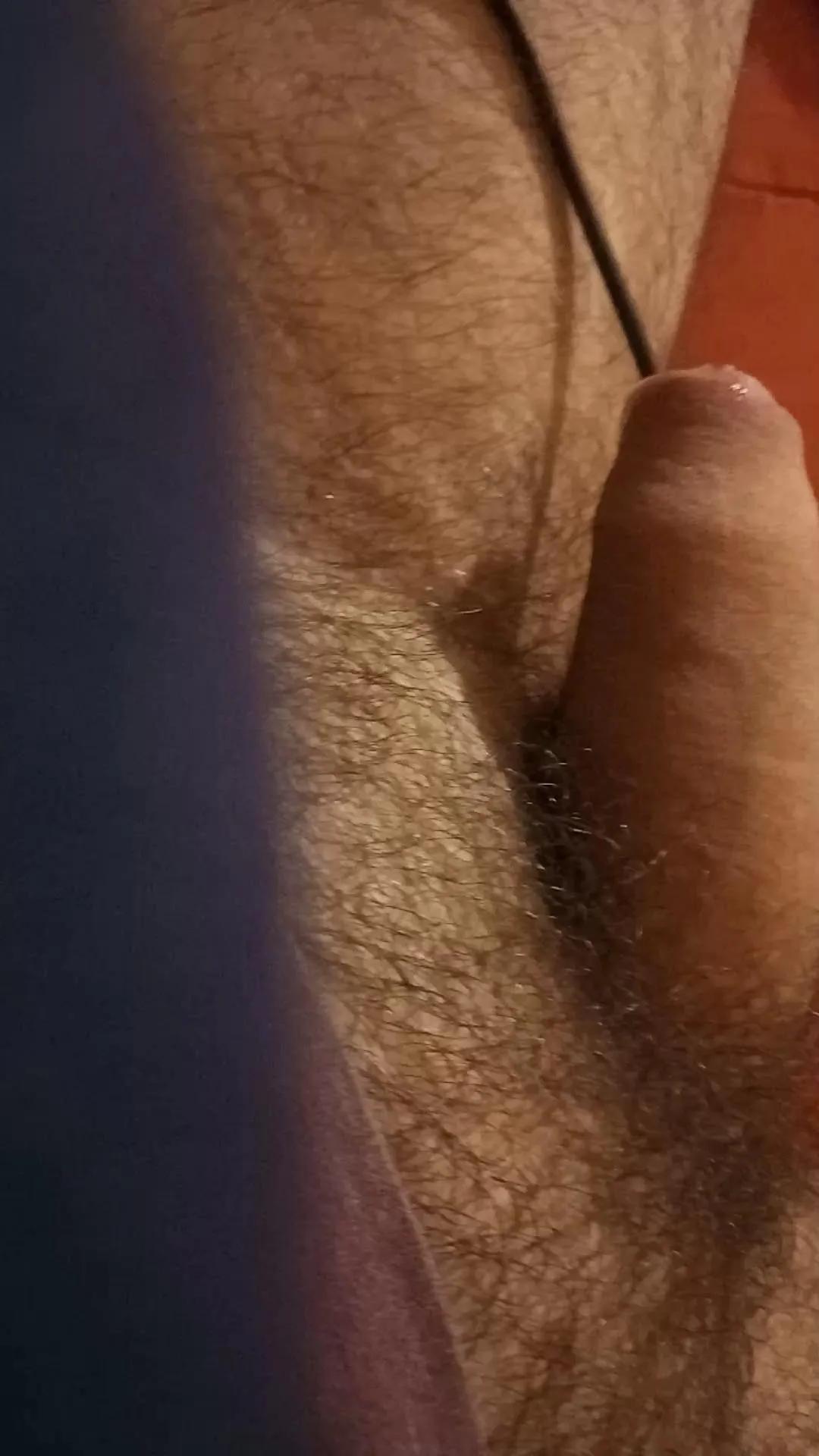 Avatar of sexycum66666