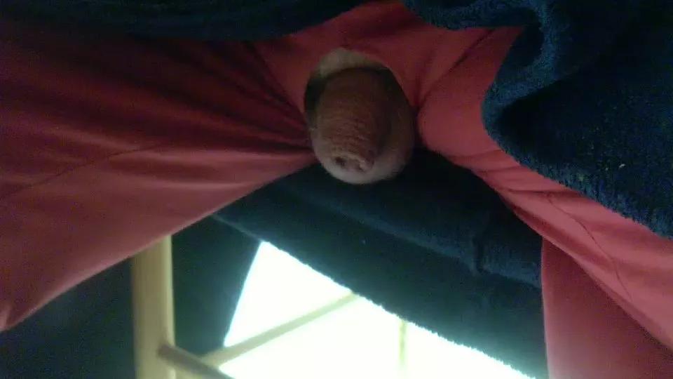 Suisavous on Cam4 