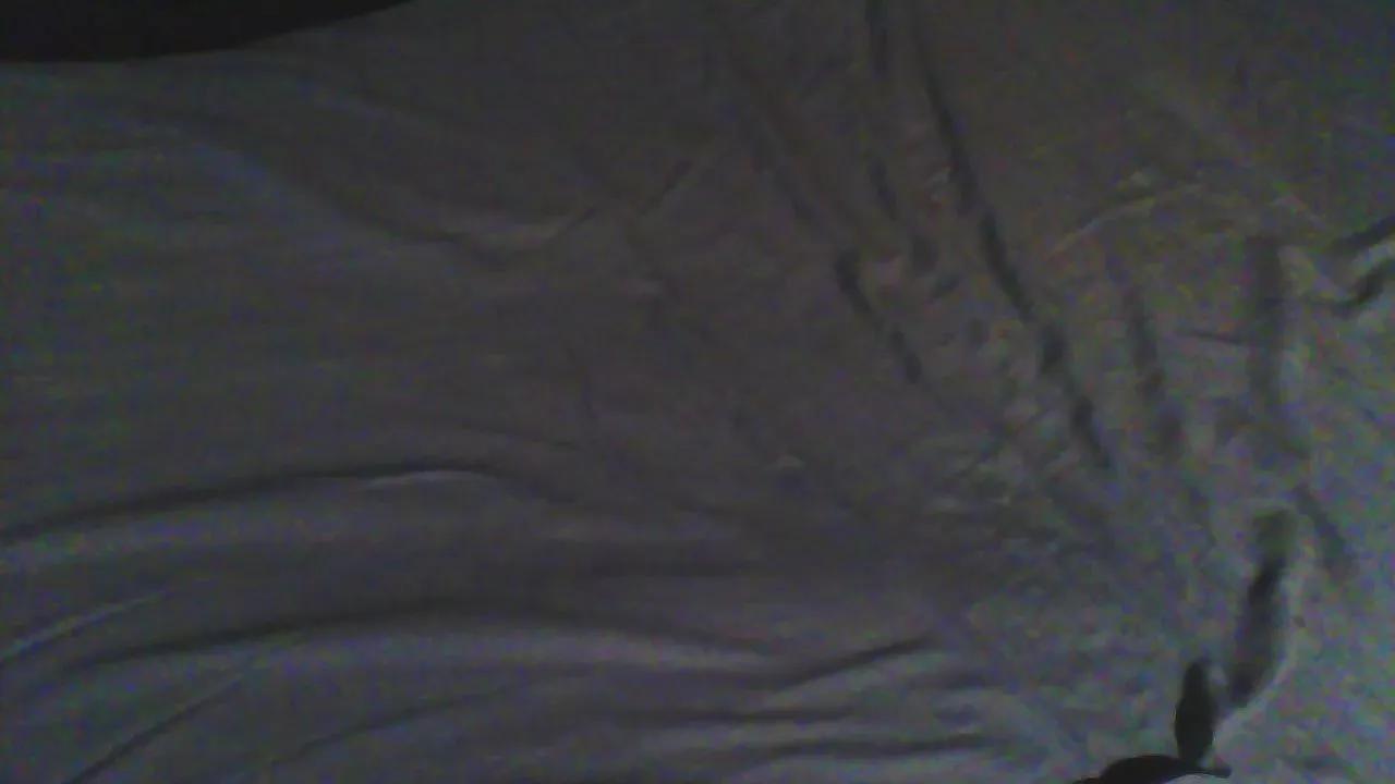 Avatar of tomdaleyfan1