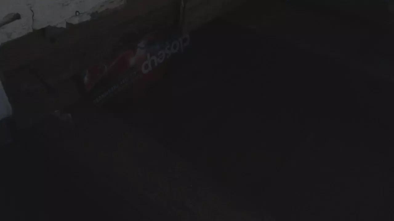Offline Zamarafoxcane on Cam4