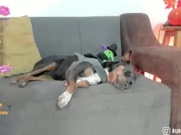 Chaturbate burbuja_cosmic  is Freechat  burbuja_cosmic —      11, 35, 38, 111  #smalltits #submissive #bdsm #fuckmachine #heels - Neckleace with handcuffs - #bdsm #fuckmachine #latina #lovense #submissive