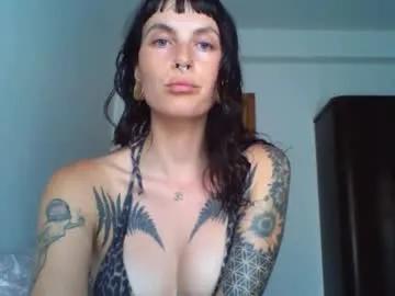 Avatar of pixiecatfairy
