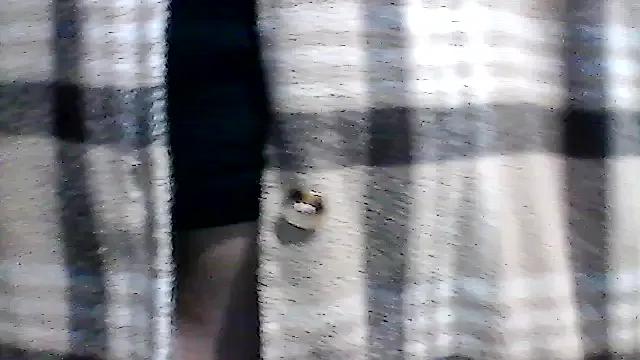 Freechat hekate_couple on StripChat