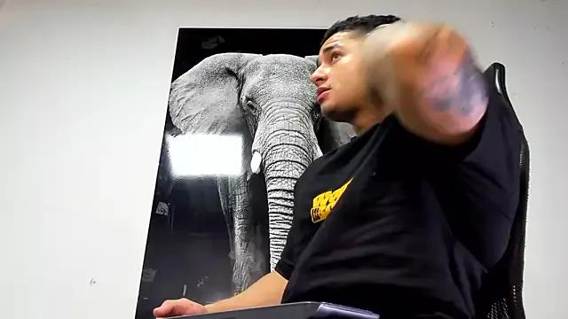 StripChat king_falconer  is Freechat  king_falconer — Show flex muscles