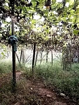 ngan-cute — Show pvt kha thn