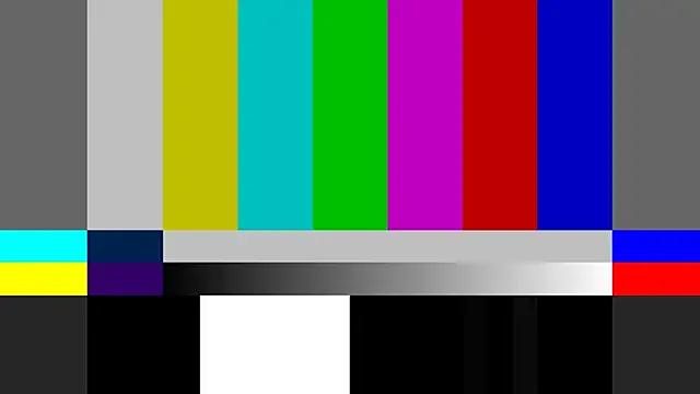 Avatar of NikaStraitlive